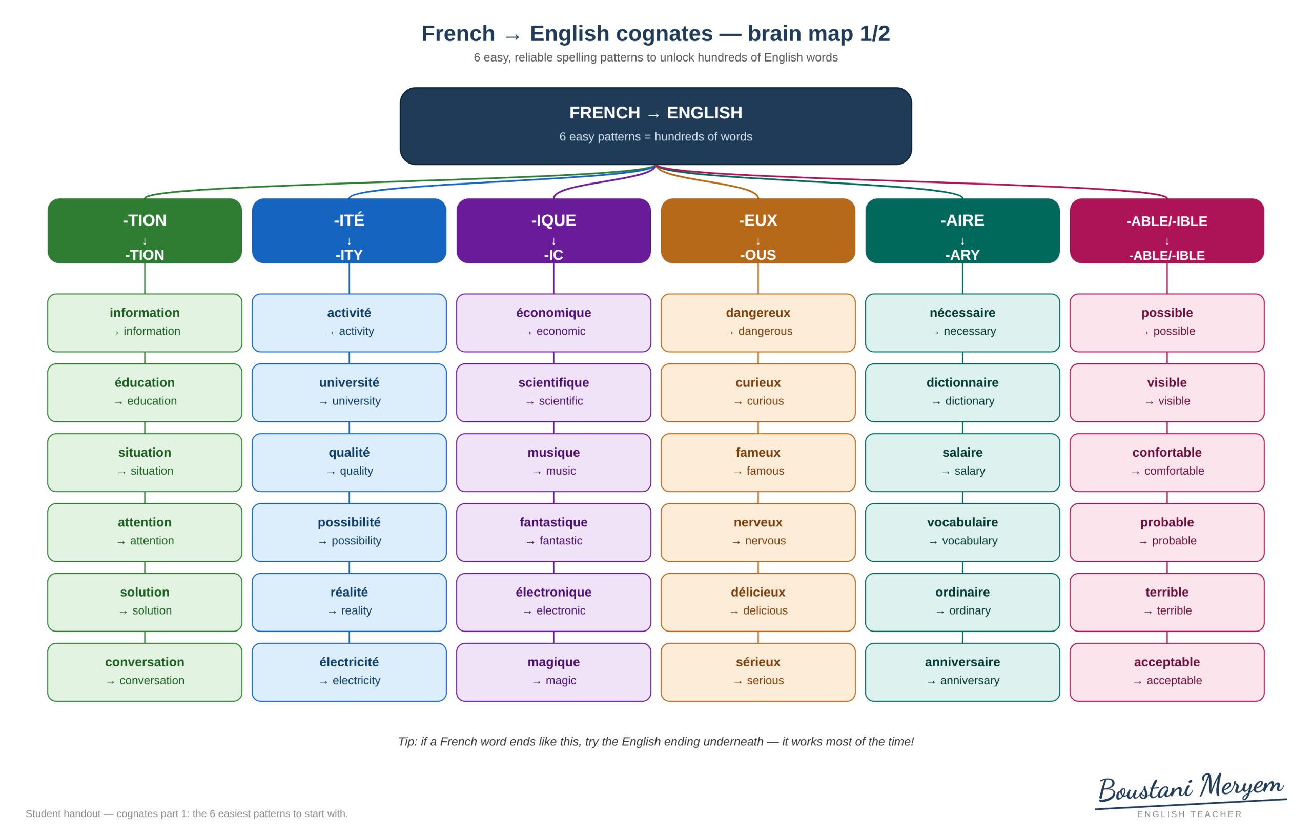 cognates-brain-map-1